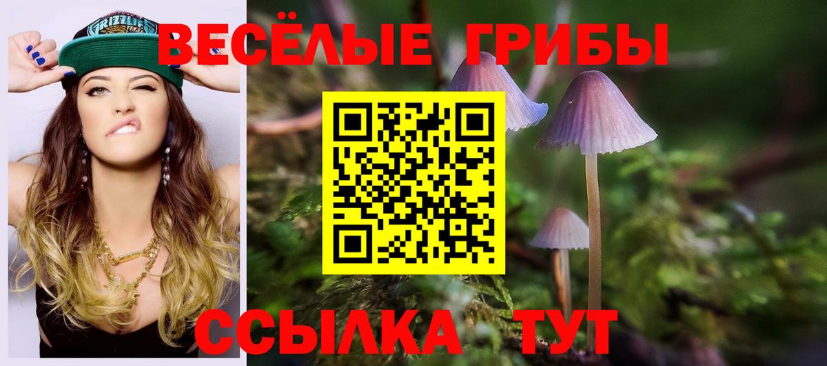 Псилоцибиновые грибы прущие грибы Ейск