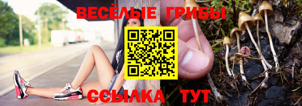 Ейск  Псилоцибиновые грибы Psilocybine cubensis  Вход с VPN 